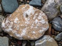 Weiße Einlagerungen an hellbraunem Stein